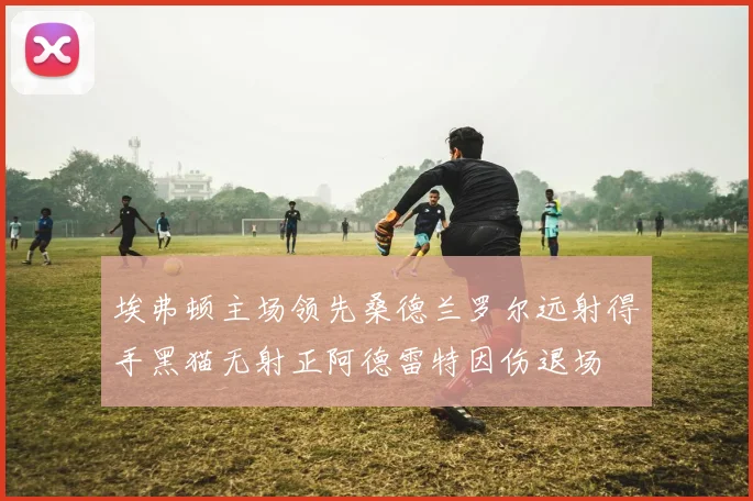 埃弗顿主场领先桑德兰罗尔远射得手黑猫无射正阿德雷特因伤退场