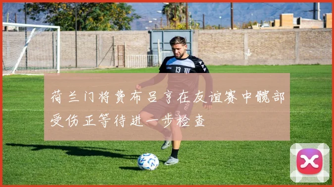 荷兰门将费布吕亨在友谊赛中髋部受伤正等待进一步检查
