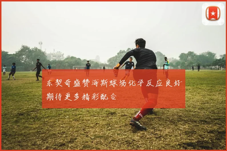 东契奇盛赞海斯球场化学反应良好期待更多精彩配合