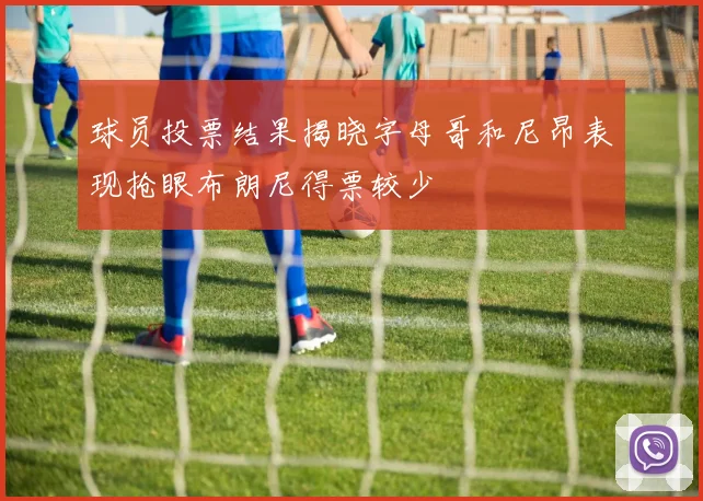 球员投票结果揭晓字母哥和尼昂表现抢眼布朗尼得票较少
